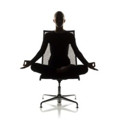 Sedie Ergonomiche